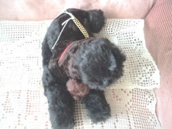 poodle radio main_05